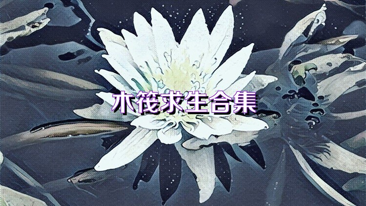 木筏求生合集